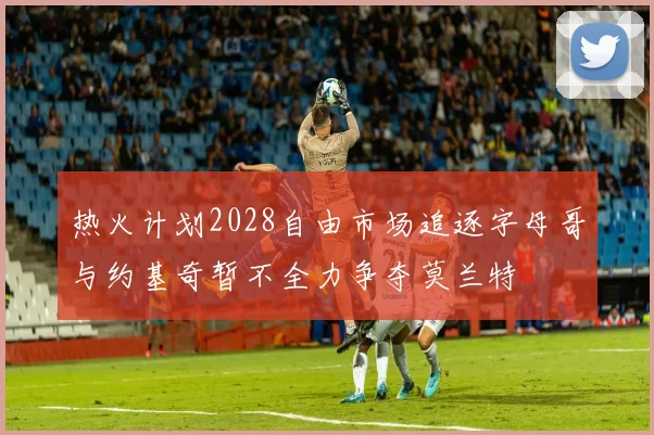 热火计划2028自由市场追逐字母哥与约基奇暂不全力争夺莫兰特